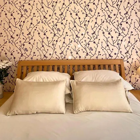 Monte Centro Брашов