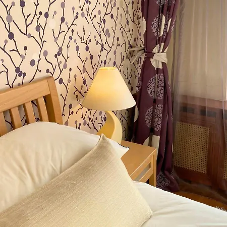 Guest house Monte Centro Brasov