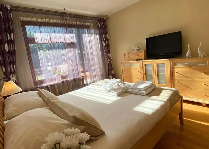 Monte Centro 3* Braşov