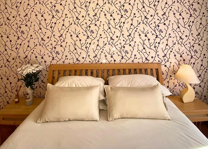 Monte Centro Braşov