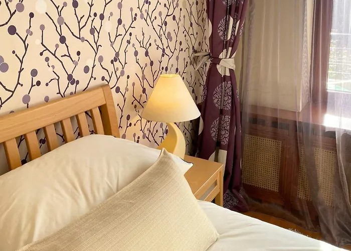 Maison d'hôtes Monte Centro Braşov