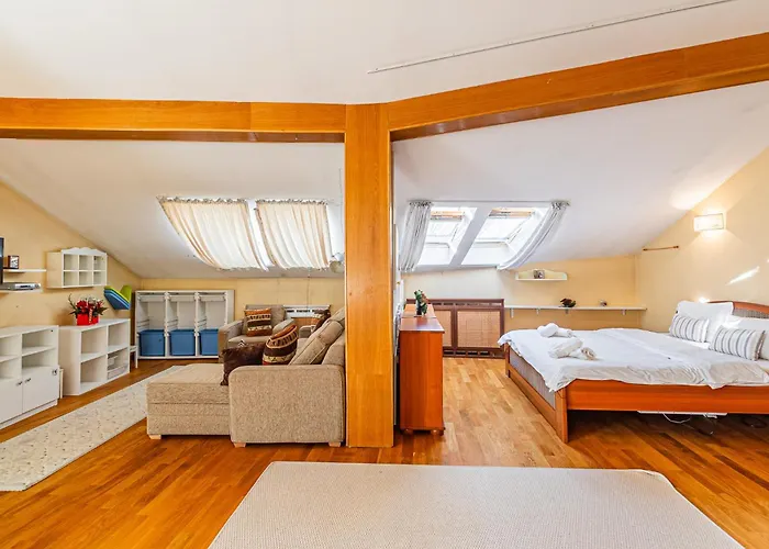 Maison d'hôtes Monte Centro Braşov