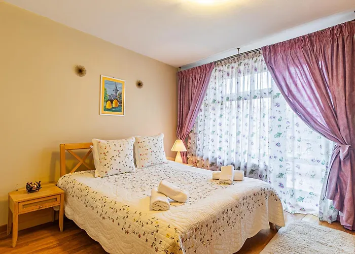 Monte Centro 3* Braşov
